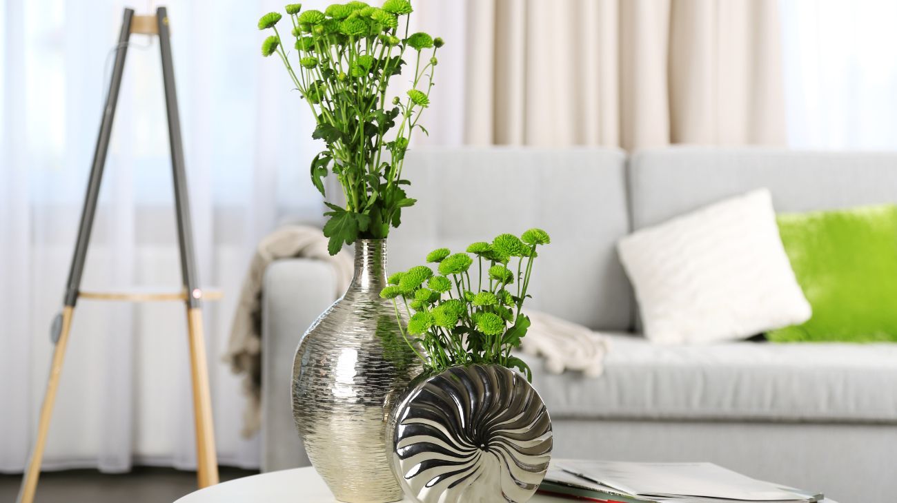 plantas de interior